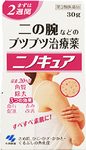 ninokya-kobayasi.jpg